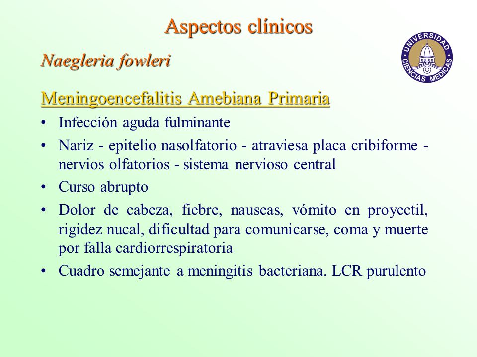 infeccion por naegleria fowleri